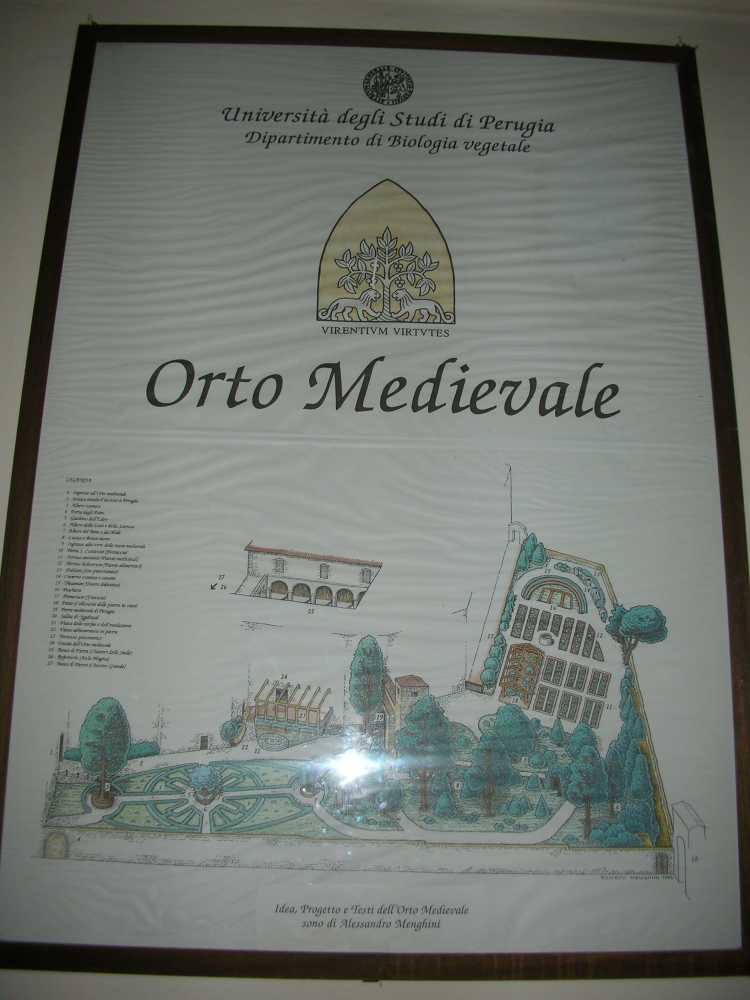 orto-medievale